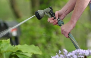 Watering pipes in the country