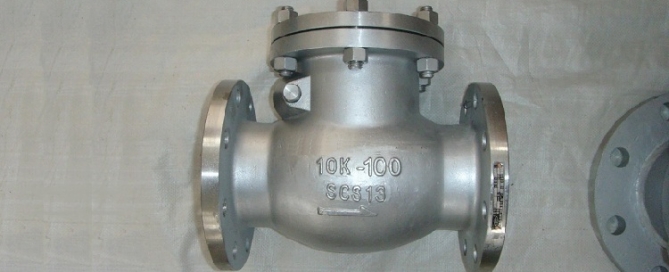 Flanged check valve